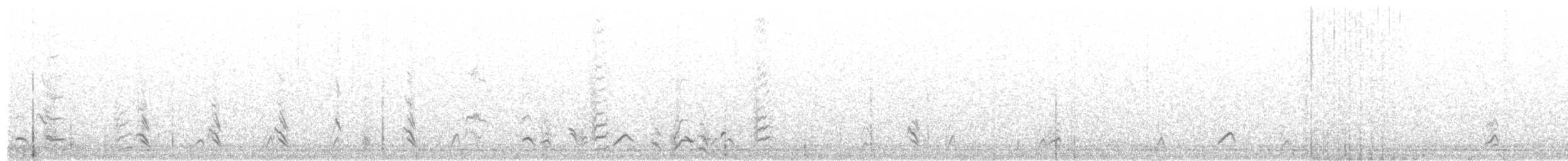 カナダカケス（obscurus／griseus） - ML91448901