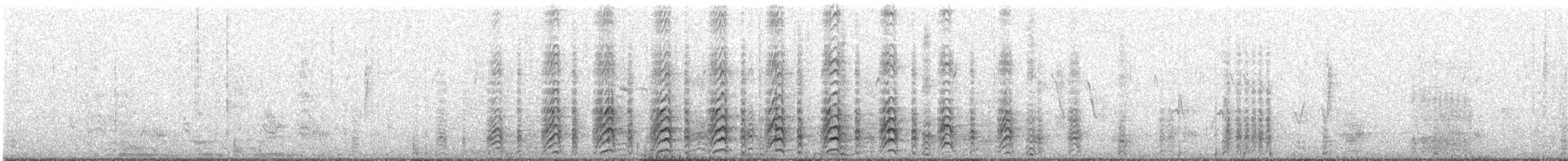 Acorn Woodpecker - ML91462171