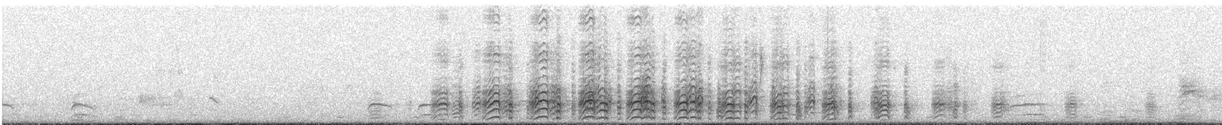 Acorn Woodpecker - ML91462181