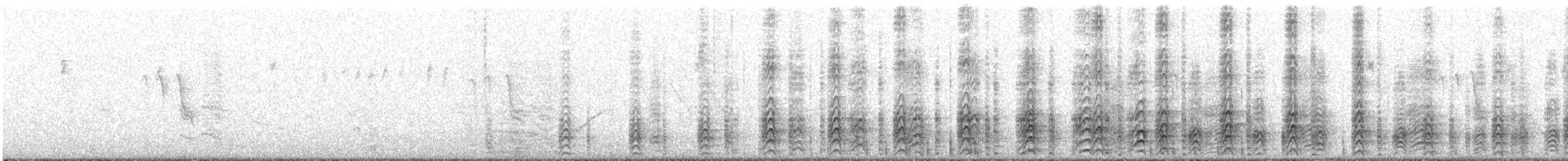 Acorn Woodpecker - ML91462191
