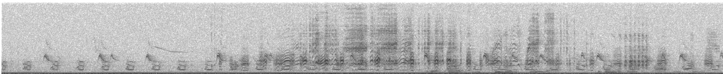 Acorn Woodpecker - ML91462201