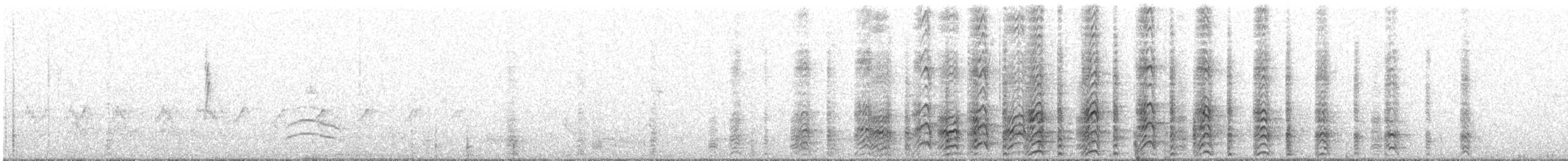 Acorn Woodpecker - ML91462211