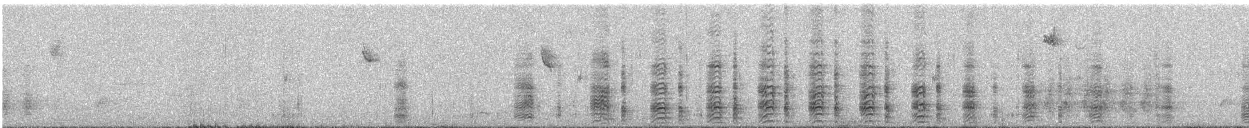 Acorn Woodpecker - ML91462221