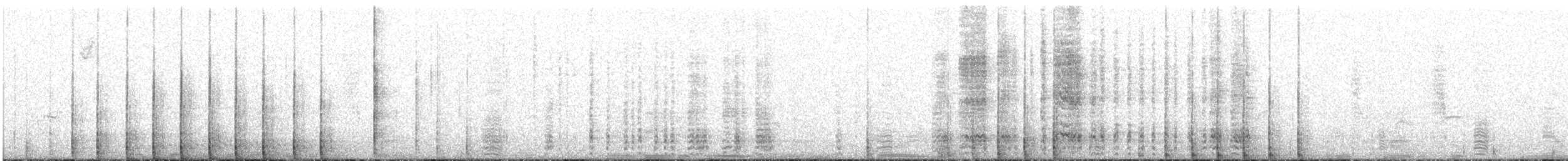 Acorn Woodpecker - ML91462231