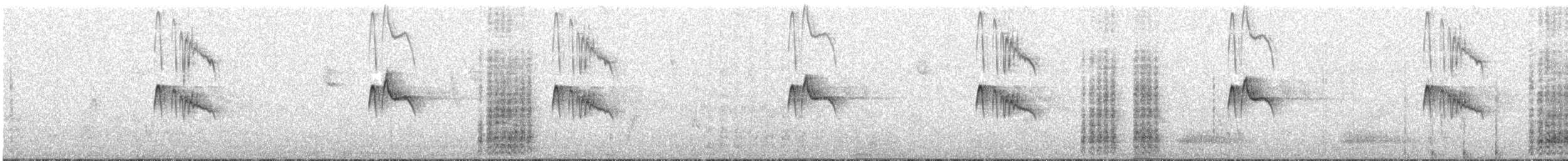 Acorn Woodpecker - ML91462241