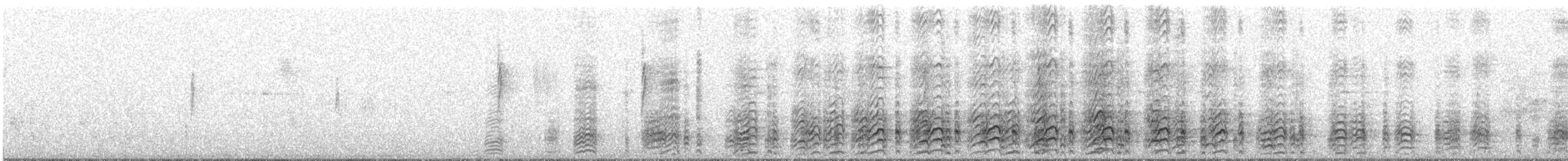 Acorn Woodpecker - ML91462251