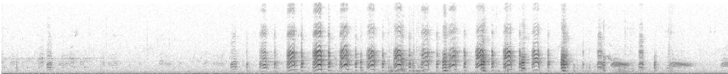 Acorn Woodpecker - ML91462261