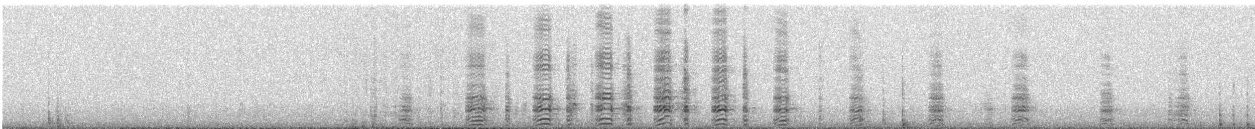 Acorn Woodpecker - ML91462941