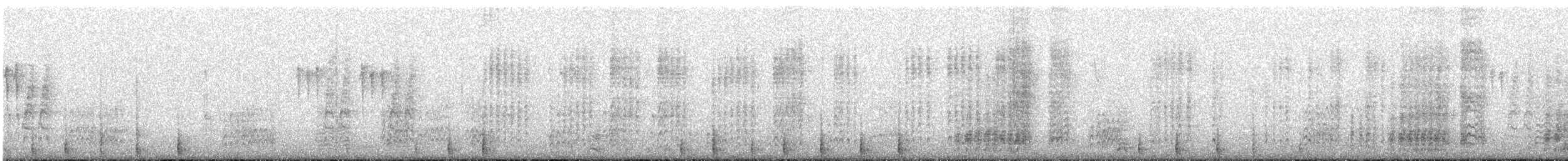 Acorn Woodpecker - ML91462961