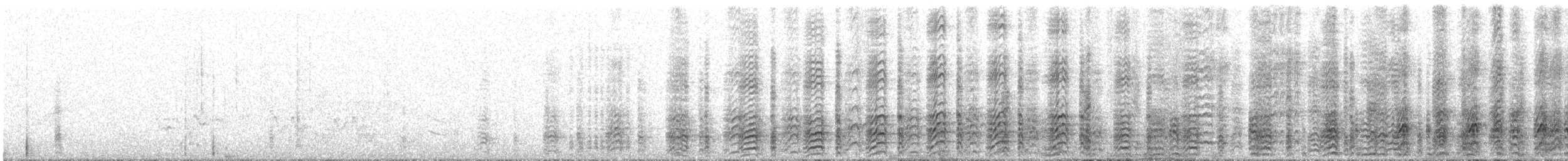 Acorn Woodpecker - ML91462971