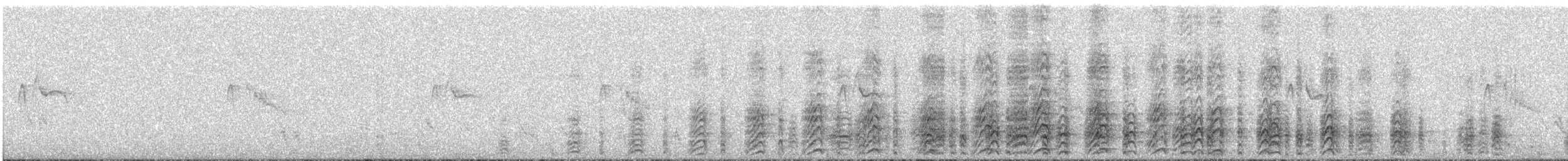 Acorn Woodpecker - ML91462981