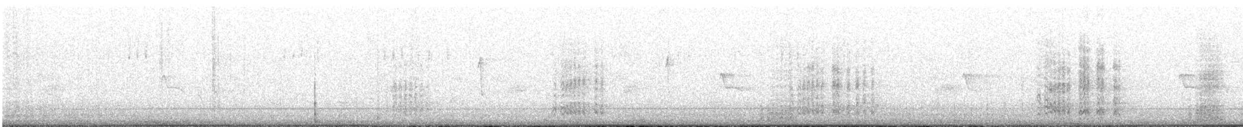 Acorn Woodpecker - ML91462991