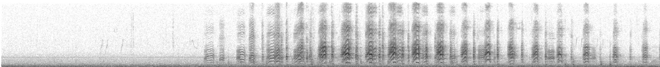 Acorn Woodpecker - ML91463001