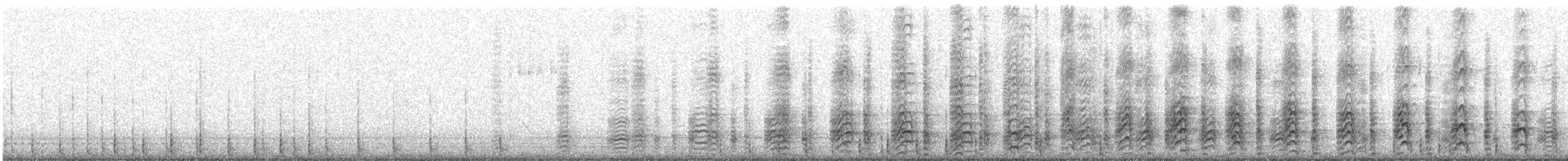 Acorn Woodpecker - ML91463011