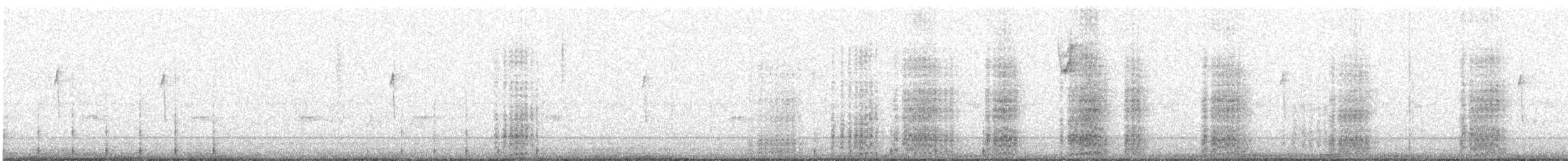 Acorn Woodpecker - ML91463061