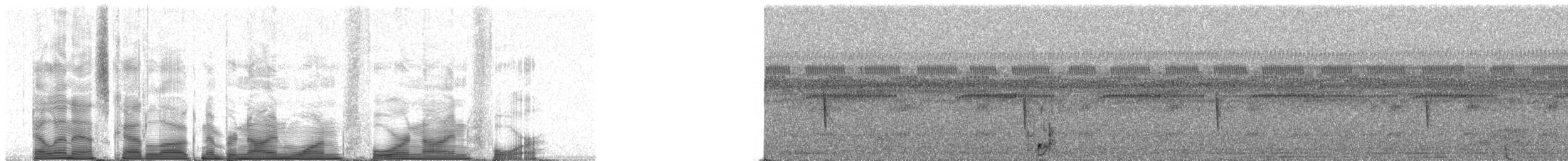 Engoulevent trifide - ML91494