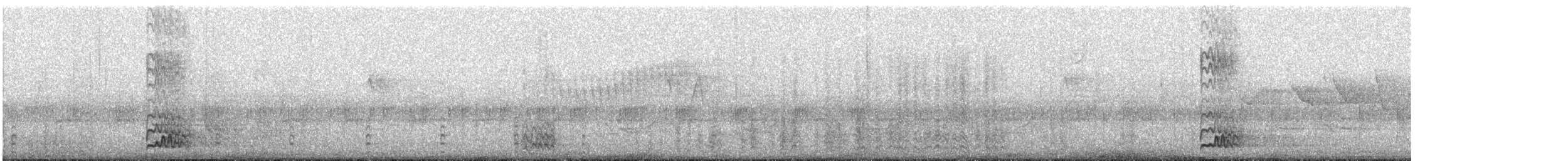 Carolinaspecht - ML91496271