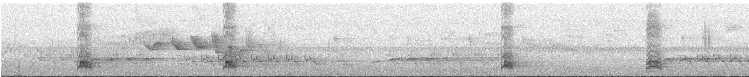 Rotkopfspecht - ML91496291