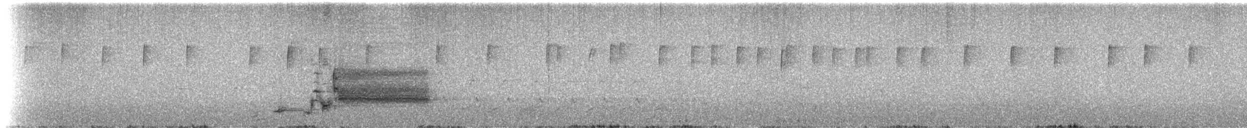 rødvingetrupial (phoeniceus gr.) - ML91497021