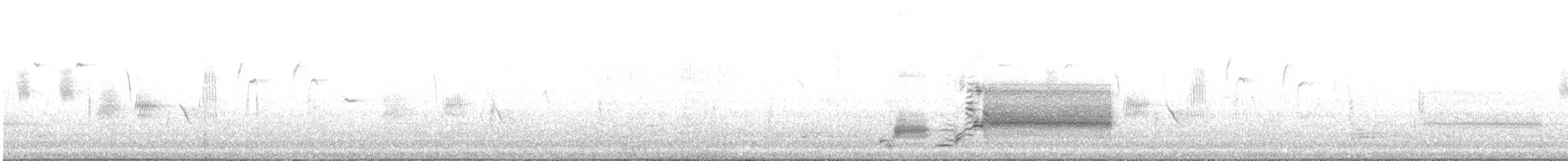 rødvingetrupial (phoeniceus gr.) - ML91500781