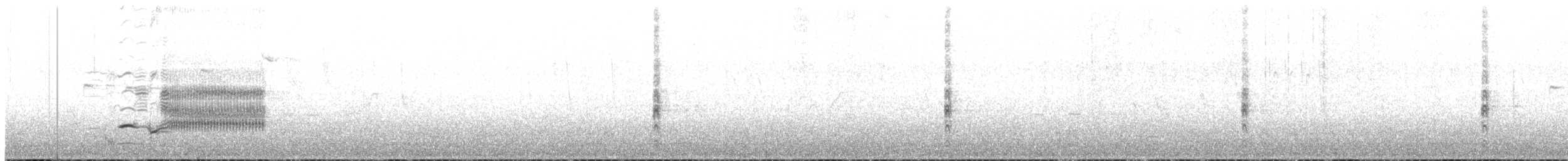 rødvingetrupial (phoeniceus gr.) - ML91500821