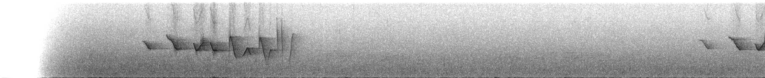 Трясогузковый певун - ML91521891