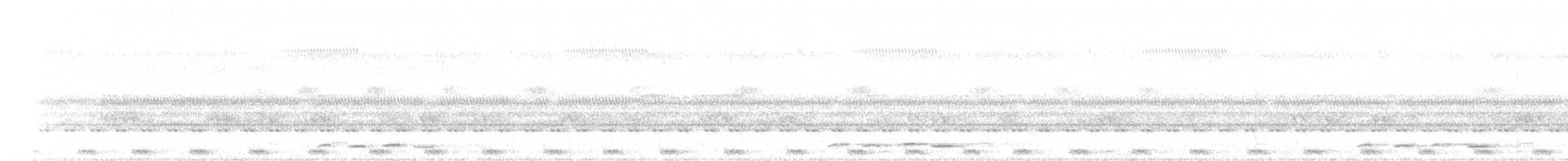 Large-tailed Nightjar - ML91584681