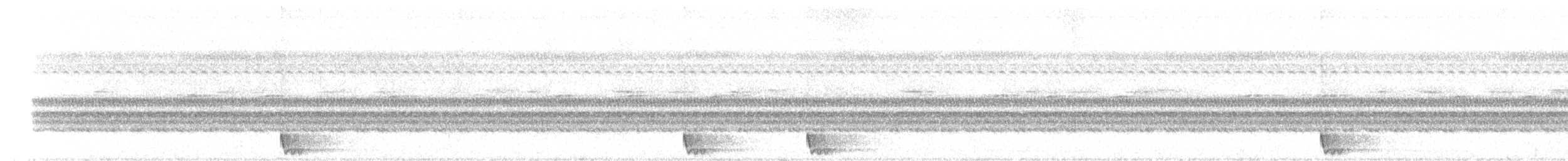 Large-tailed Nightjar - ML91584721