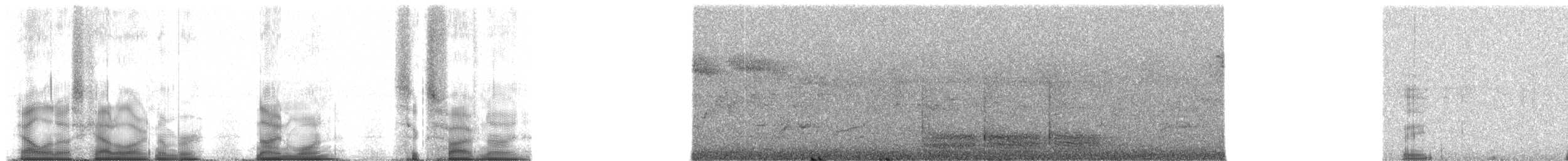 Ванга гачкодзьоба (підвид cetera) - ML91659
