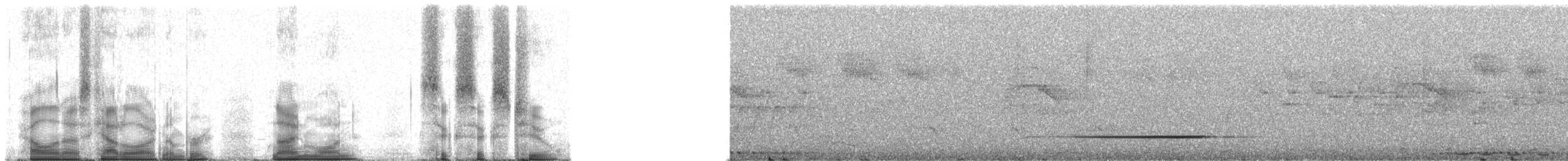 Ванга гачкодзьоба (підвид cetera) - ML91662