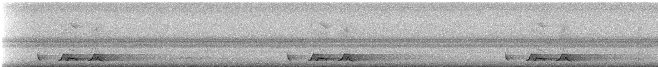 Chuck-will's-widow - ML91674381