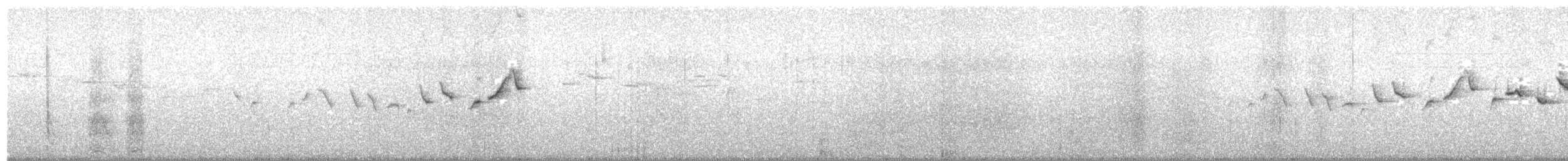 キンガシラアメリカムシクイ - ML91681431