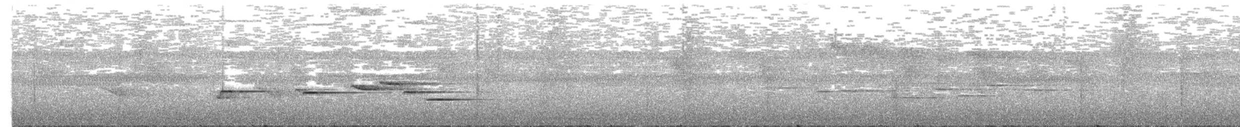 ヒメパプアヤマツグミ - ML91687161
