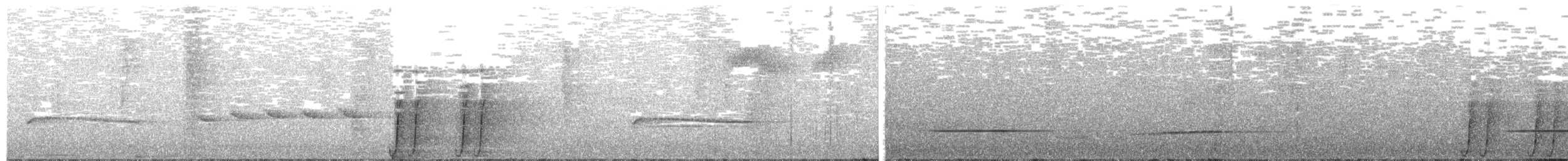 svartsigdnebb - ML91691101
