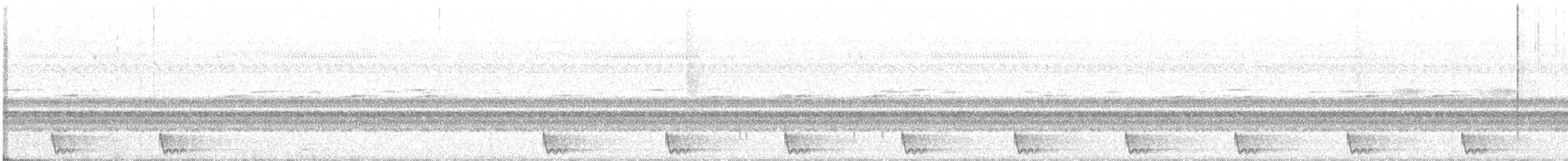 Large-tailed Nightjar - ML91717241