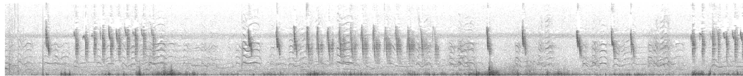 Seggenzaunkönig - ML91745991