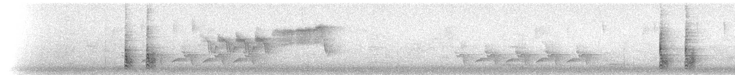 Red-bellied Woodpecker - ML91751831