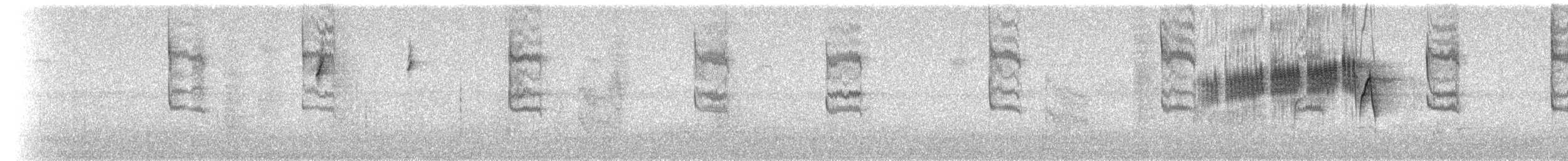 Blue-gray Gnatcatcher - ML91759241