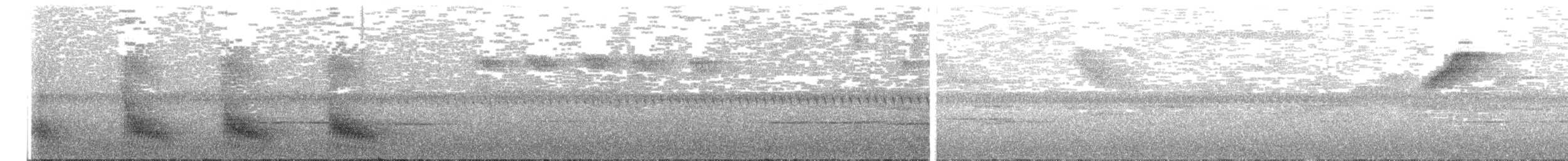 Дивоптах-білозір золотоспинний - ML91815381