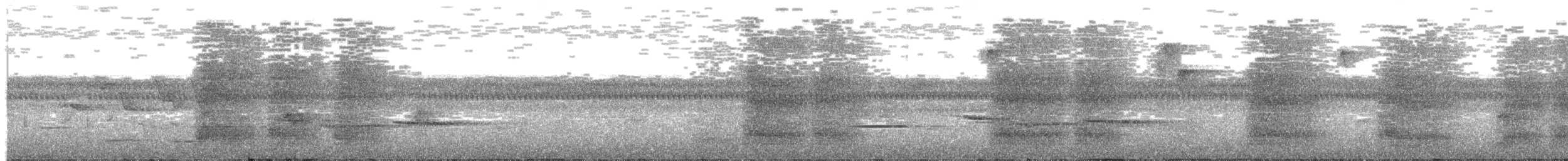 Дивоптах-білозір золотоспинний - ML91828821