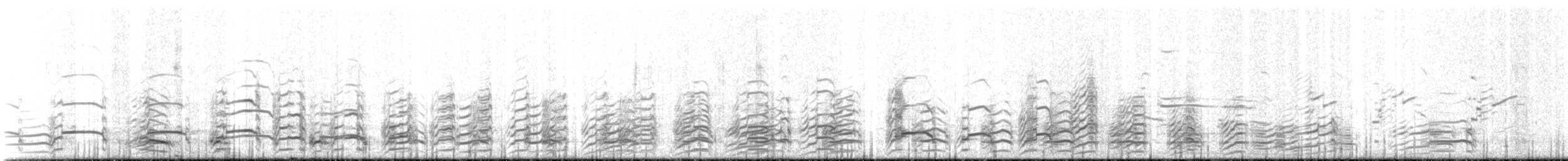 クロワカモメ - ML91838021