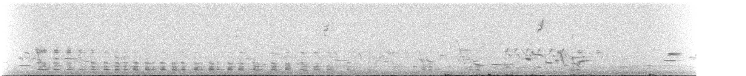 Ring-necked Pheasant - ML91838291