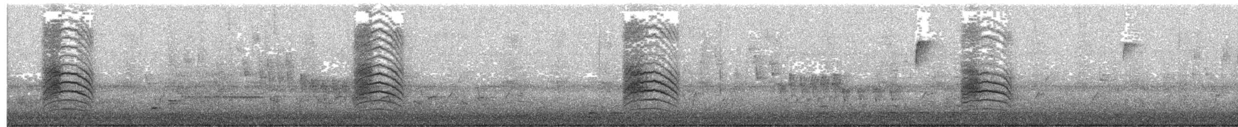 Katzenspottdrossel - ML91843871
