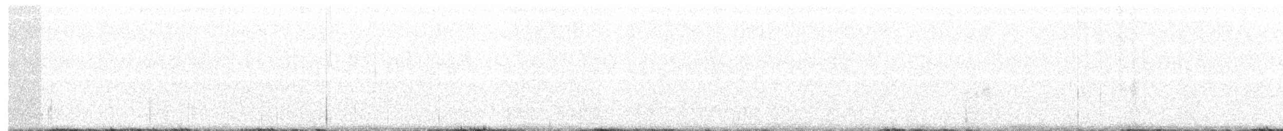 Scott's Oriole - ML91922901