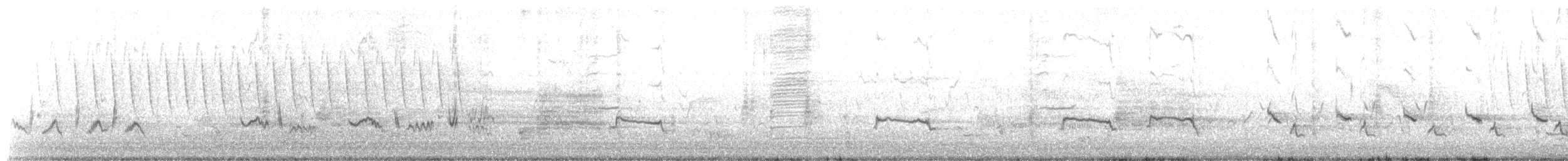 Northern Mockingbird - ML91936501