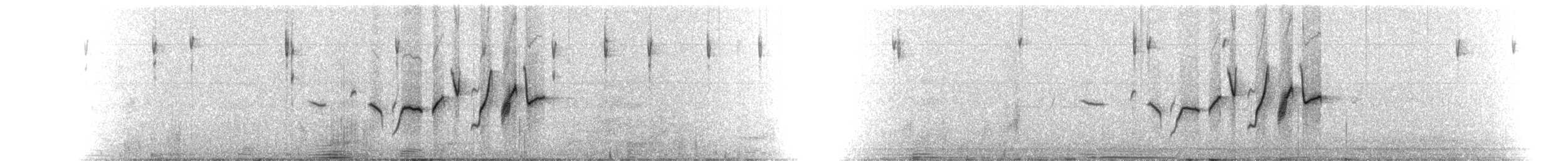 Plectrophane de Smith - ML92021931