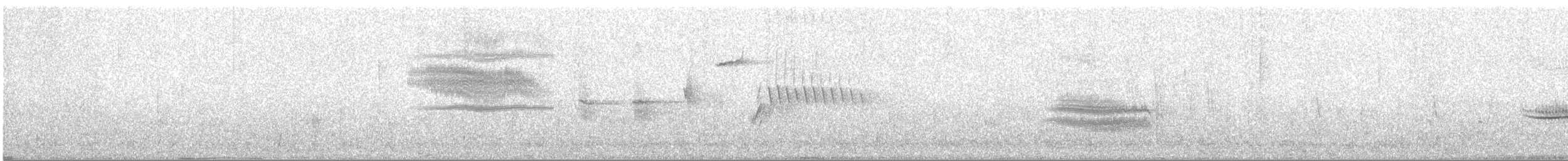 Varied Thrush - ML92112391