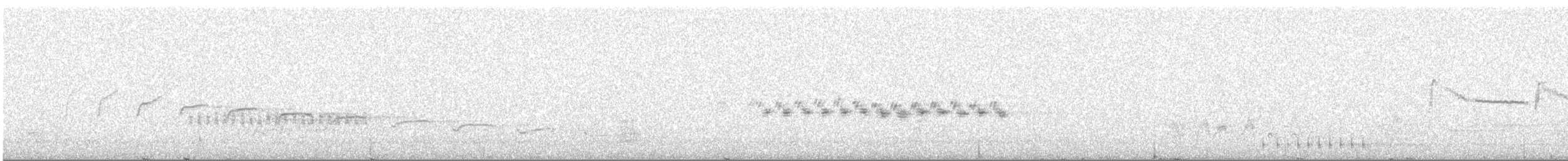 Canyon Wren - ML92113681