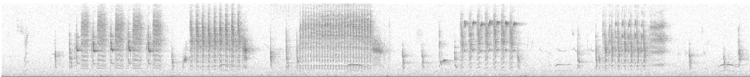 Marsh Wren - ML92114251