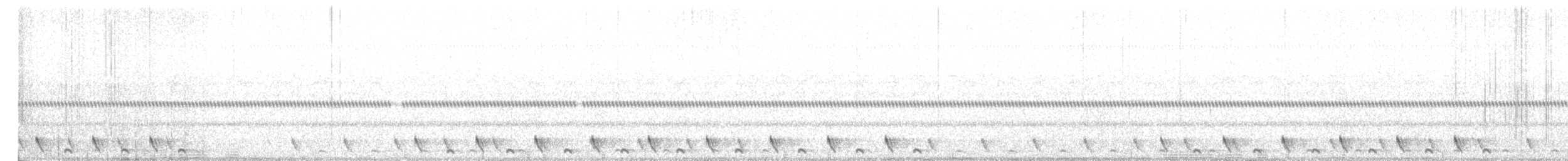 Jungle Nightjar - ML92185761